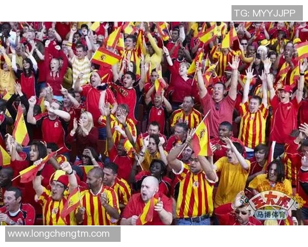 杭州排球队迎接世界杯挑战的转型之路与未来展望