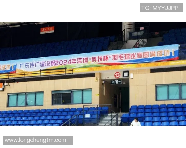 深圳羽毛球队实力解析：从训练到比赛的全面剖析与展望