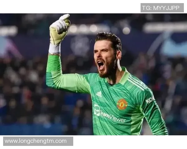 足球明星风采大汇聚精彩瞬间回顾与传奇故事分享