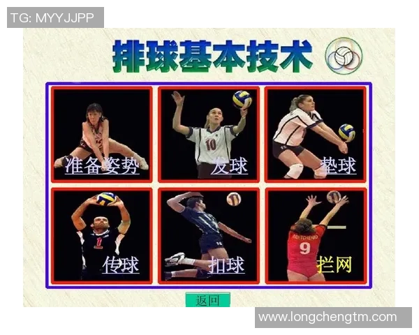 重庆排球队反击战术深度解析与实战应用探讨
