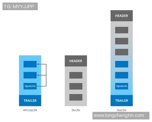 独家分析：广州排球队的配合对比