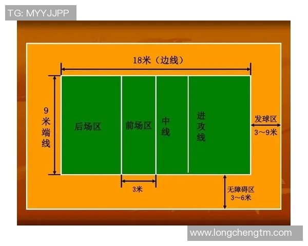 科学排球：速度训练方法_1