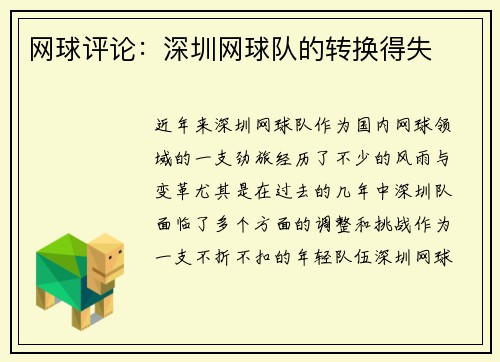 网球评论：深圳网球队的转换得失