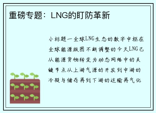 重磅专题：LNG的盯防革新