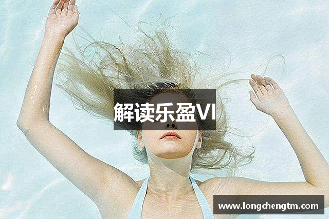解读乐盈VI